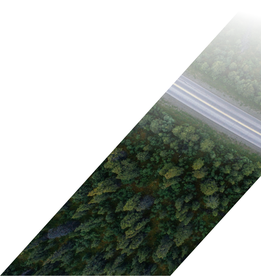 Rectangle 273